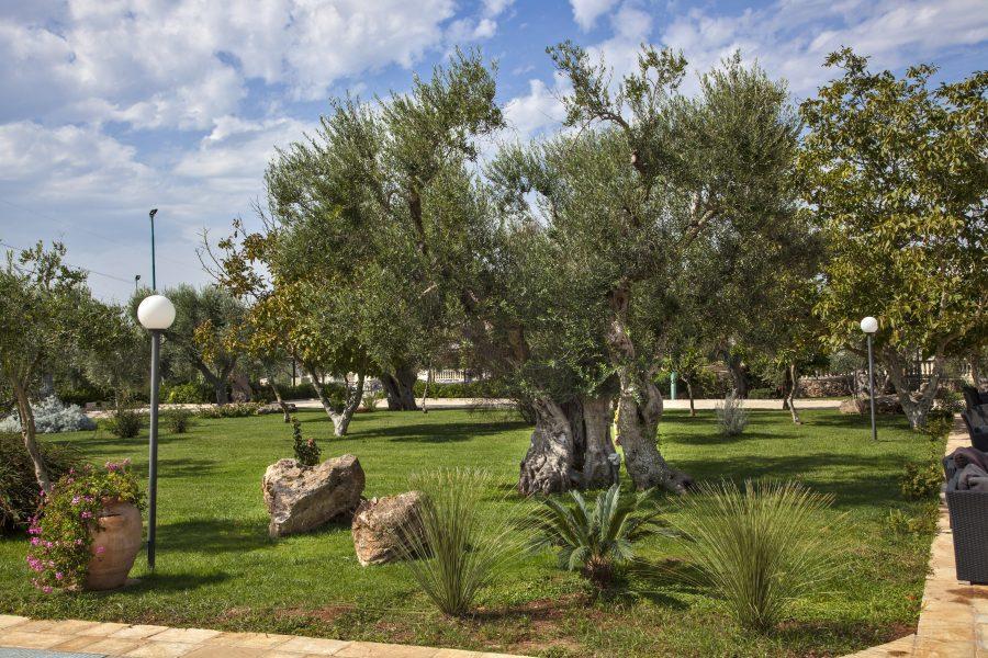 Tenuta Caradonna Lequile Esterno foto